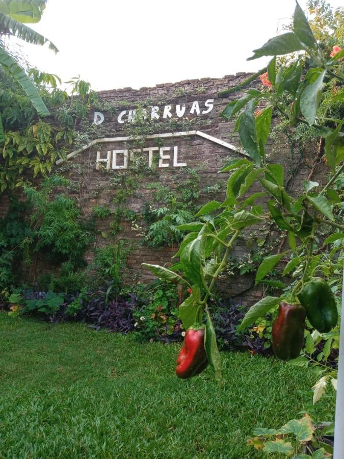 Dch Hostel Backpaquers Concordia Luaran gambar